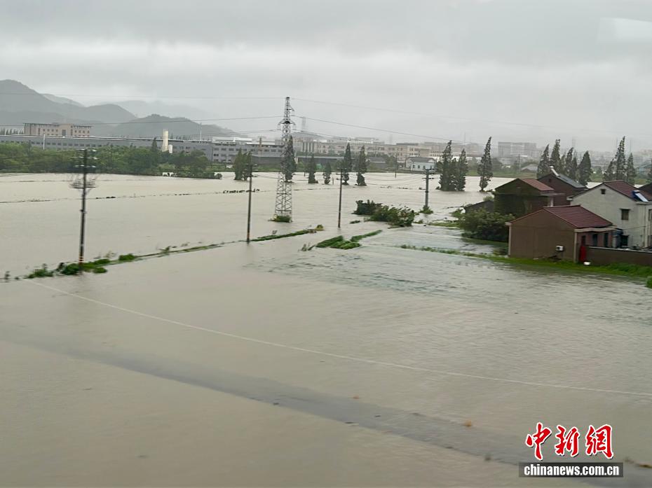 “竹节草”登陆浙江 直击宁波城乡实况