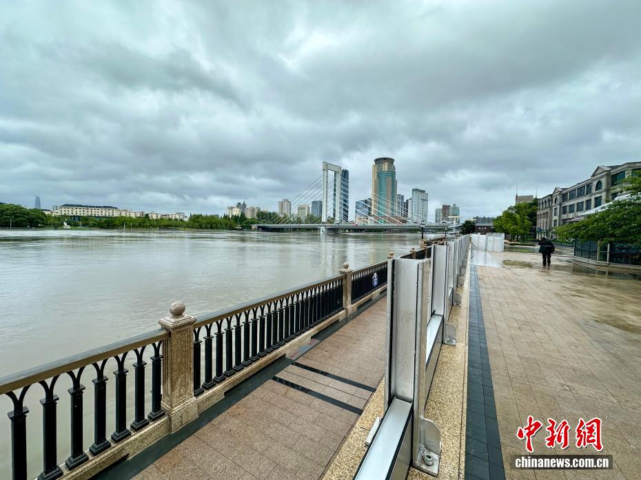 “竹节草”登陆浙江 直击宁波城乡实况