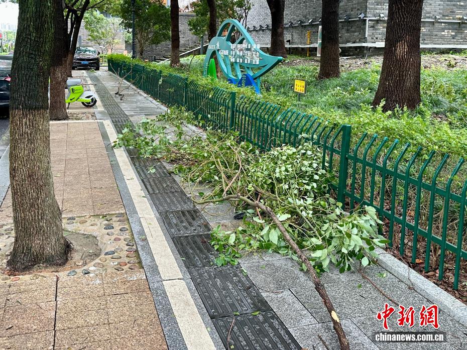 “竹节草”登陆浙江 直击宁波城乡实况