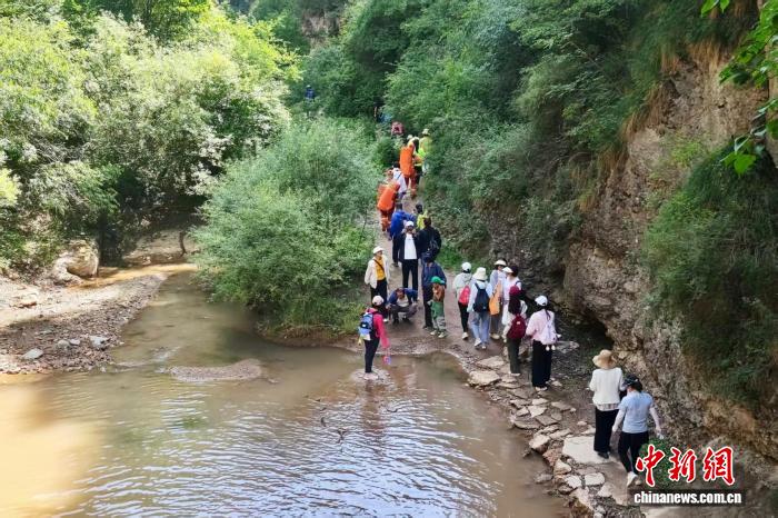 宁夏泾源：文旅活动串联“诗与远方” 游客尽享夏日清凉