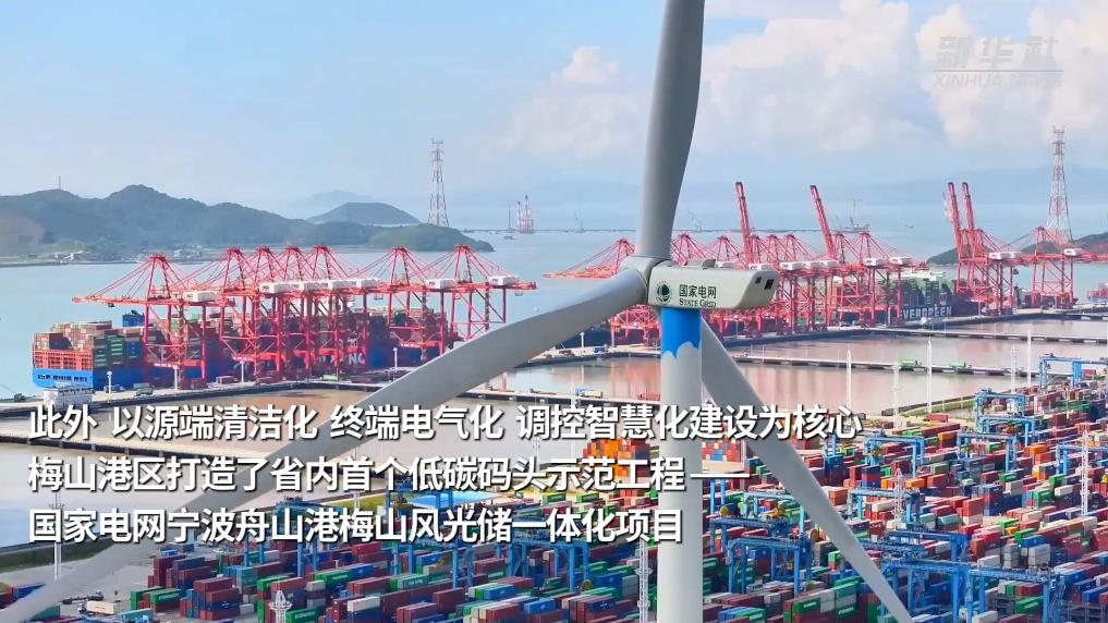 活力中国调研行丨浙江宁波：“绿色港口”的智能化转型