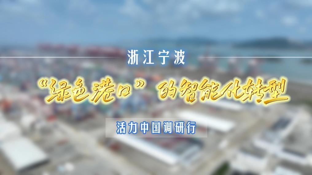 活力中国调研行丨浙江宁波：“绿色港口”的智能化转型