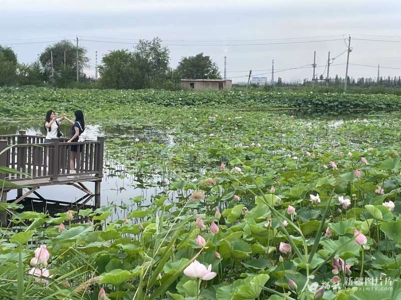 新疆是个好地方丨玛纳斯县八家户村江南韵引客来