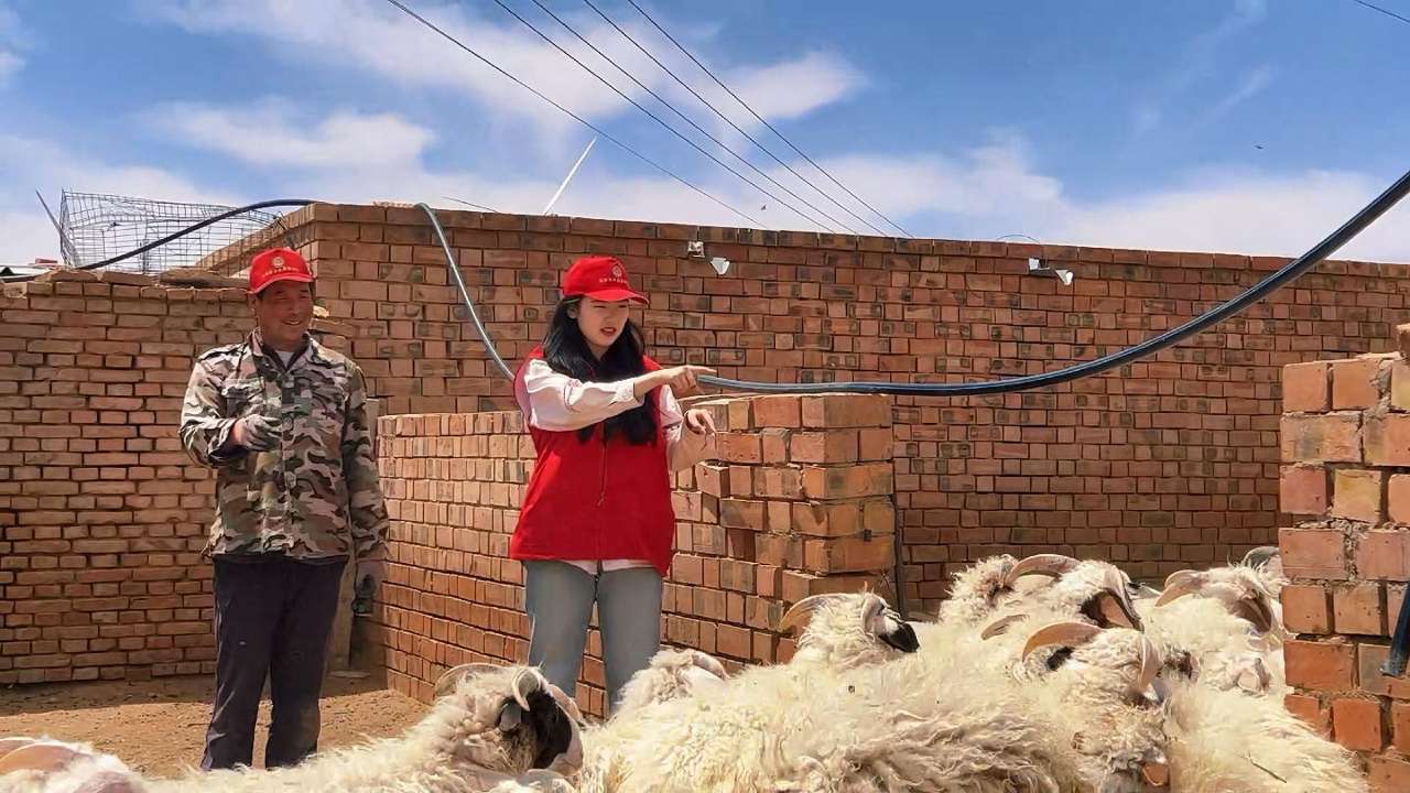 宁夏盐池：本土人才“破土飘香”