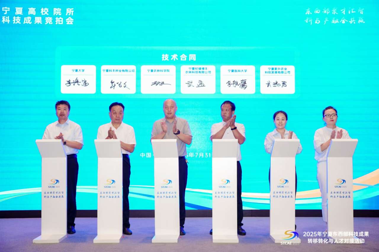 宁夏：“宁农杞18号”创全国枸杞领域单个品种转化最高额