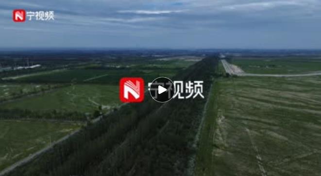 贺兰山下盘踞一条“绿色长龙”，游走间仿佛神游……