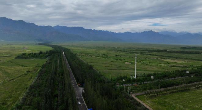 贺兰山下盘踞一条“绿色长龙”，游走间仿佛神游……
