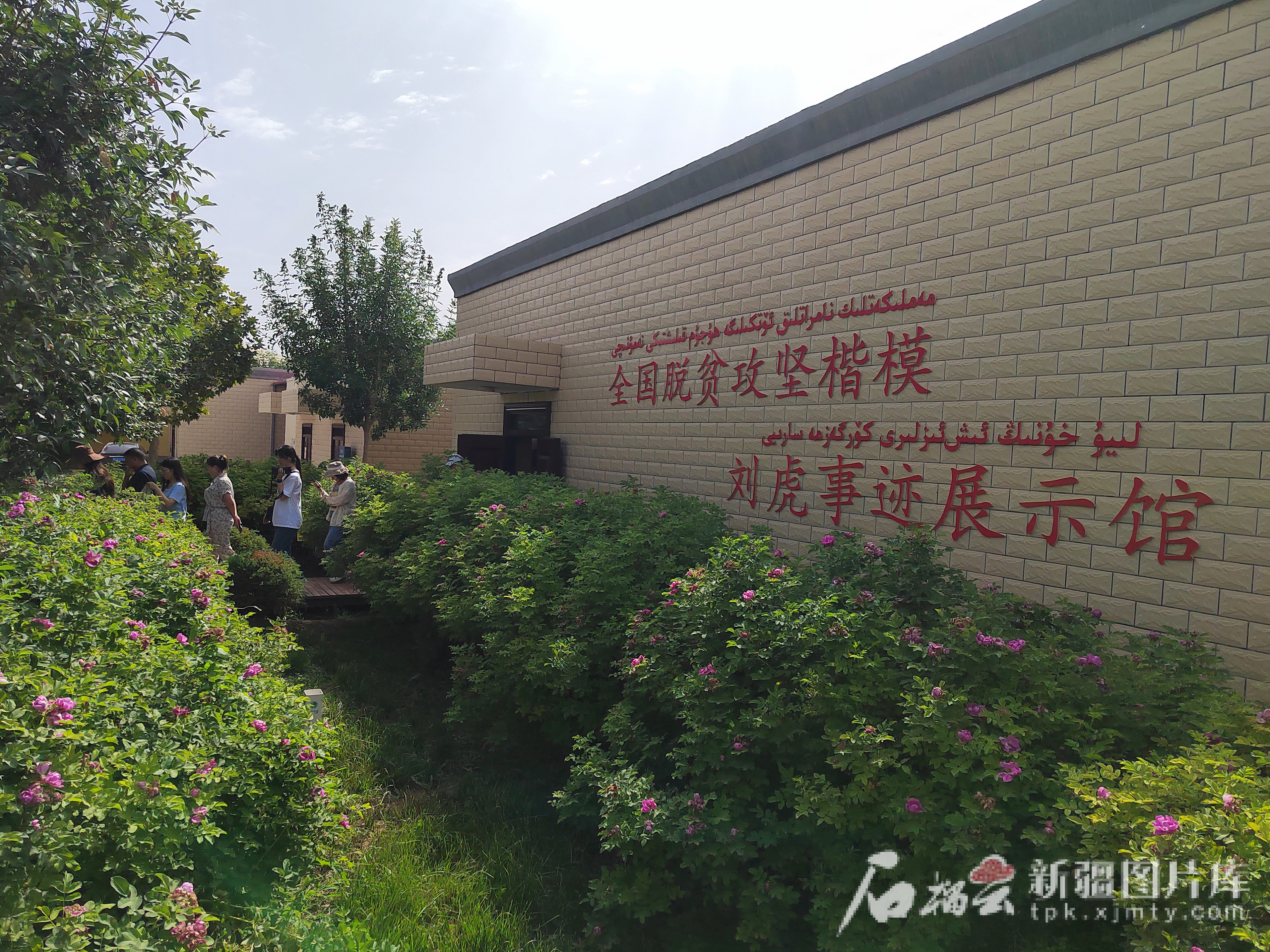 治水兴水看新疆丨从昔日苦咸水到如今“有点甜”