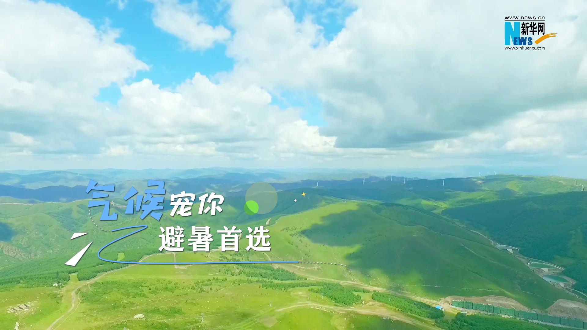 “崇礼宠你”｜TA怎么这么宠你