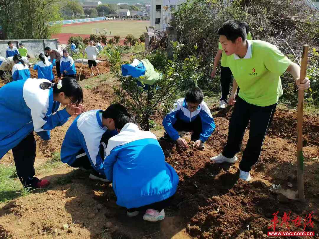 科教观察丨以世界为教材，不以教材为世界——湖南多所高中组织学生开展暑期调查的启示