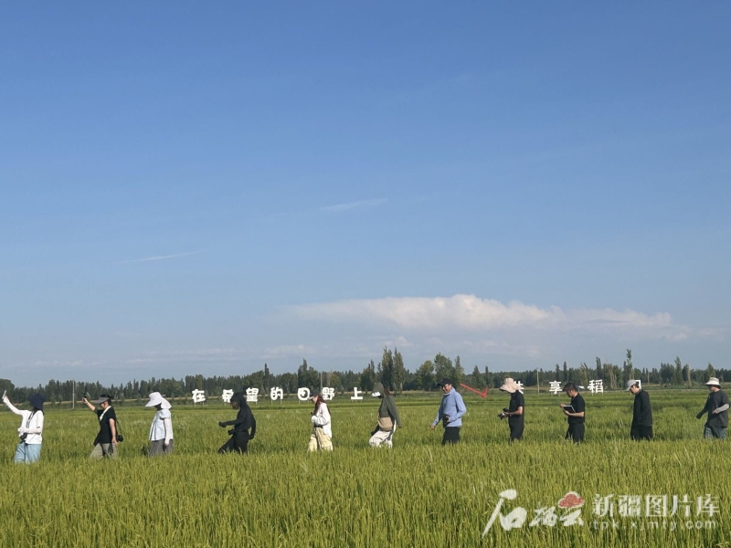 治水兴水看新疆丨百年大渠成就“塞外江南”