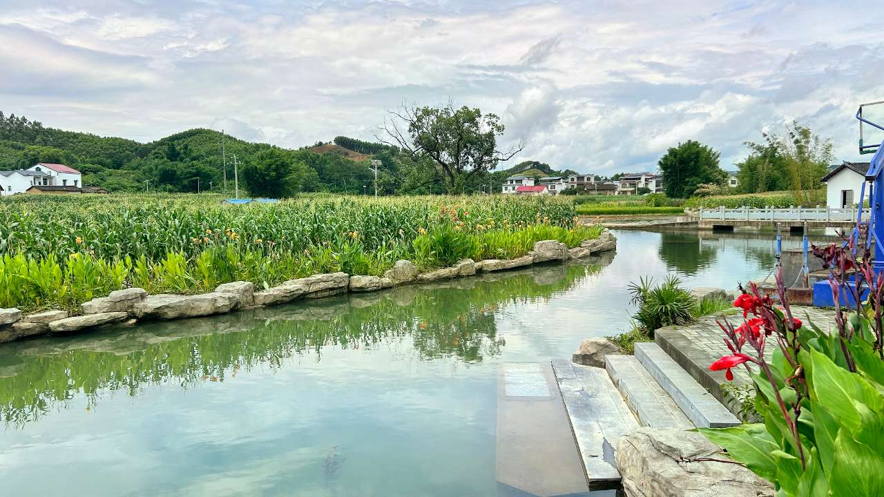广西鹿寨：千年古镇依渡而兴的“土地密码”
