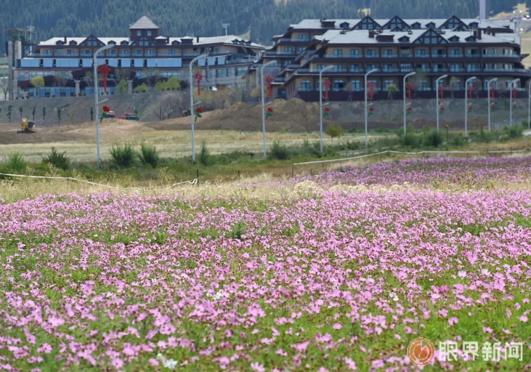 真情浇灌石榴花开 籽籽同心结幸福果——从点滴行动看乌鲁木齐铸牢中华民族共同体意识的生动实践