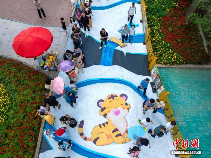 黑龙江：“千虎之园”添新玩法 东北虎“直卧”脚下