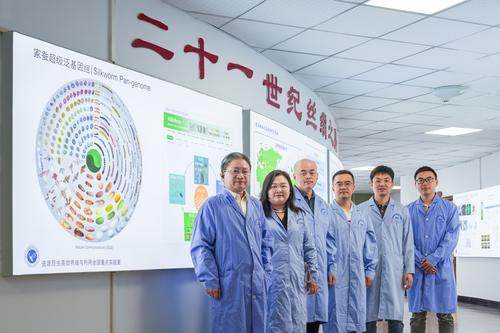 全球首张！重庆科学家绘制家蚕超级泛基因组图谱