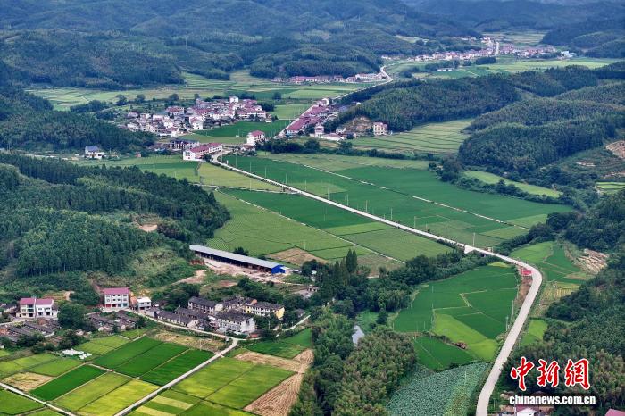 航拍福建建宁国家级杂交水稻种子生产基地