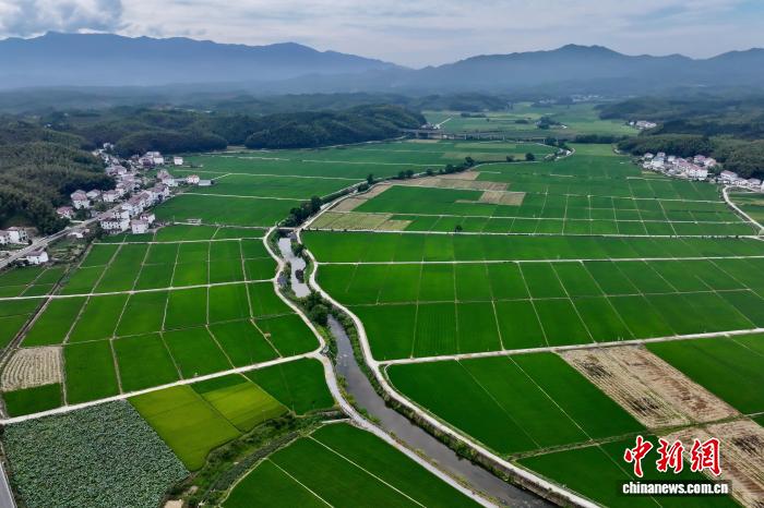 航拍福建建宁国家级杂交水稻种子生产基地