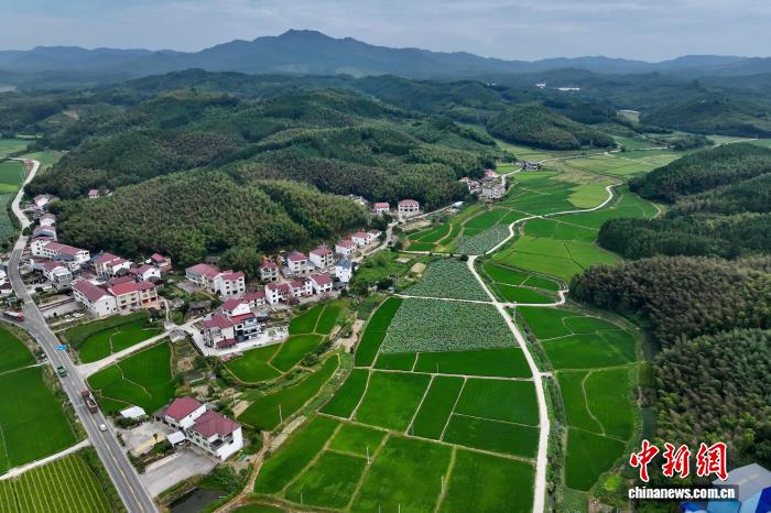 航拍福建建宁国家级杂交水稻种子生产基地