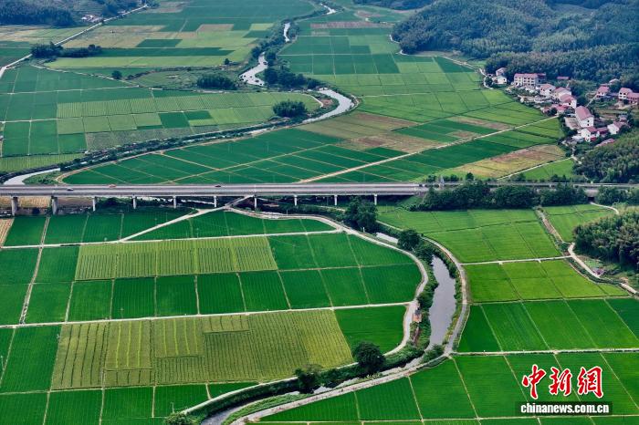 航拍福建建宁国家级杂交水稻种子生产基地