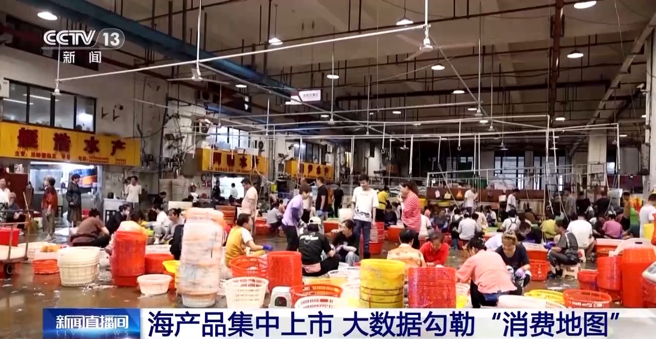 开渔期赶海忙 鲜活海产“游”进市场