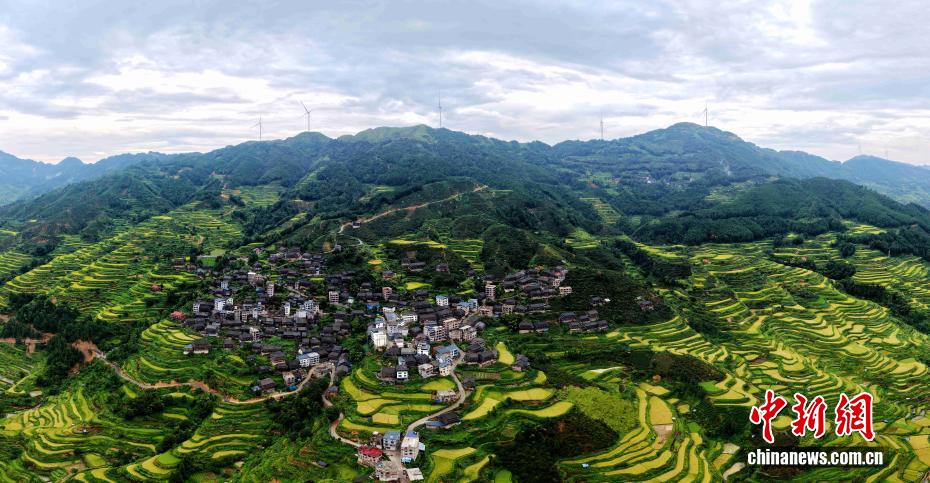 广西三江：雨后梯田风光美