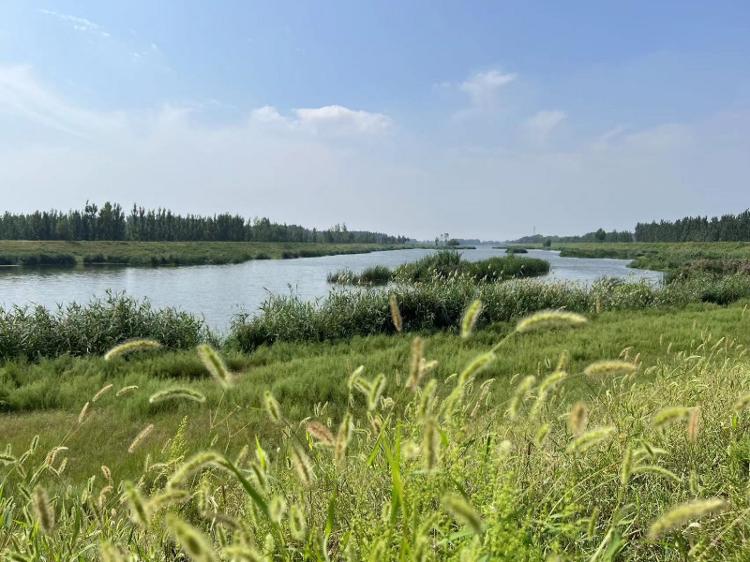 见证河湖蝶变丨肥城打造再生水循环经济发展 化工园区90%的企业使用再生水