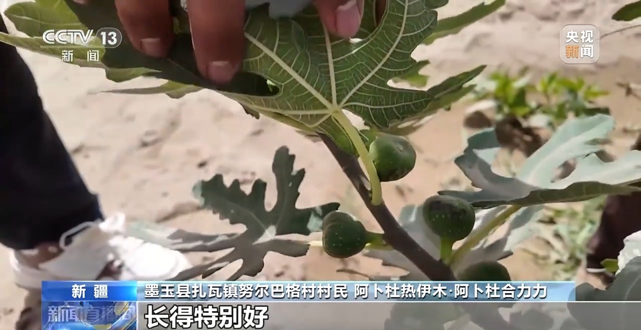 砥砺奋进七十载 天山南北谱华章丨十年巧治流沙 台特玛湖焕然新生