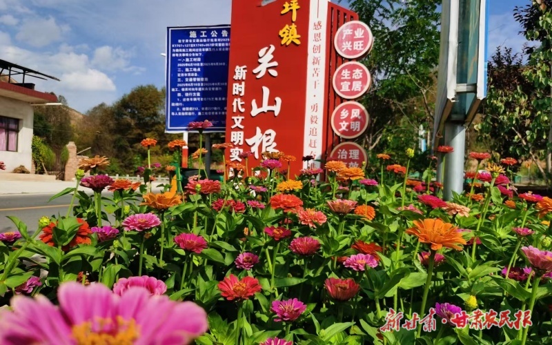 渭源：乡村一隅 蝶变焕新