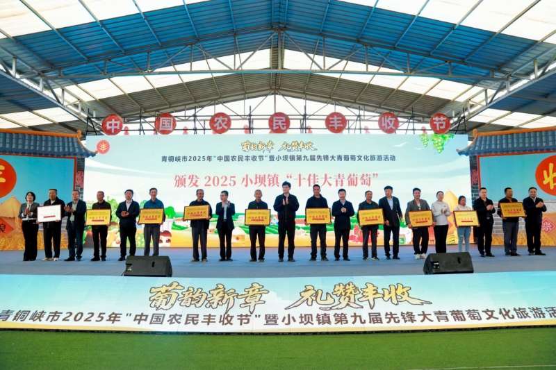 宁夏青铜峡：大青葡萄迎客来