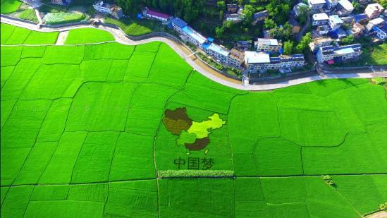 第二届陕西魅力休闲乡村和特色魅力田园推介名单发布_中国新闻网陕西
