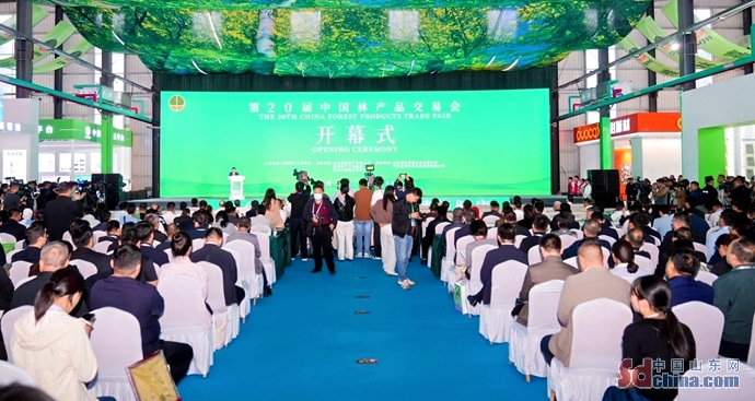 观菏泽｜从曹县小镇到世界舞台 看林交会上的“智”变与“绿”动