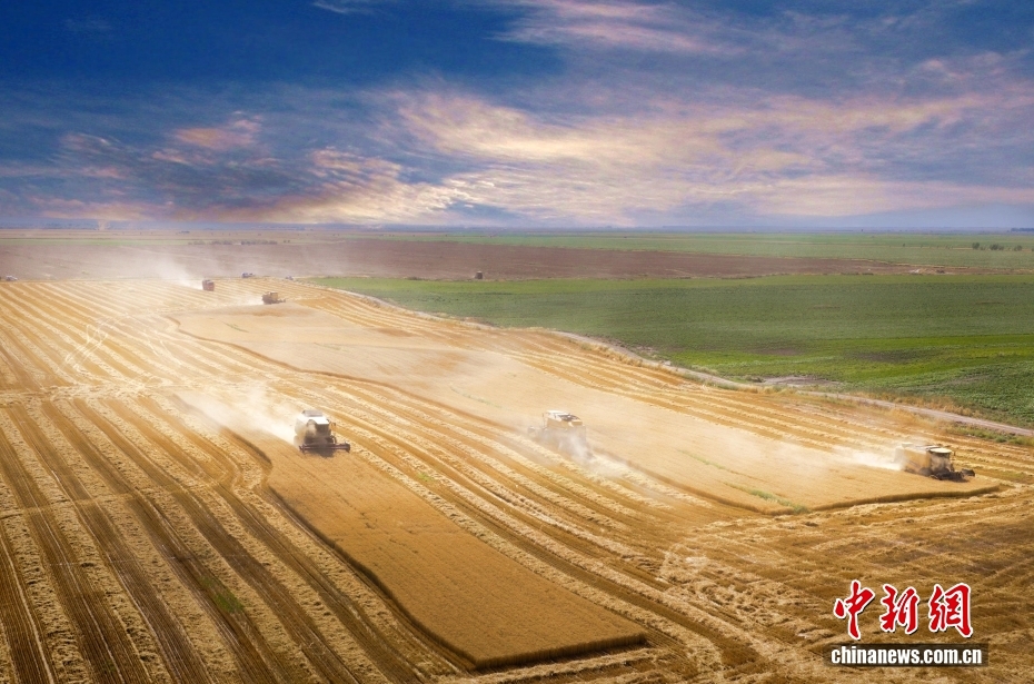 （砥砺奋进七十载 天山南北谱华章）千年丝路展新颜 解锁不一“Young”的新疆