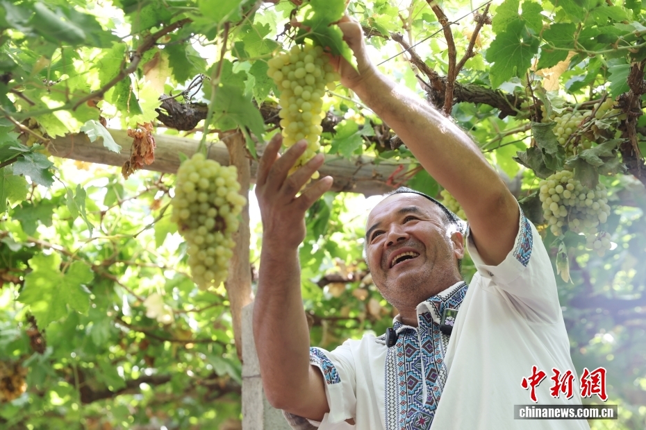 (砥砺奋进七十载 天山南北谱华章)千年丝路展新颜 解锁不一“Young”的新疆 (砥砺奋进七十载 天山南北谱华章)千年丝路展新颜 解锁不一“Young”的新疆