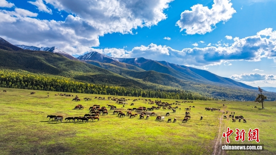 （砥砺奋进七十载 天山南北谱华章）千年丝路展新颜 解锁不一“Young”的新疆