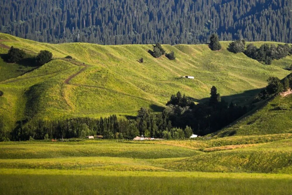这就是新疆! 这就是新疆!