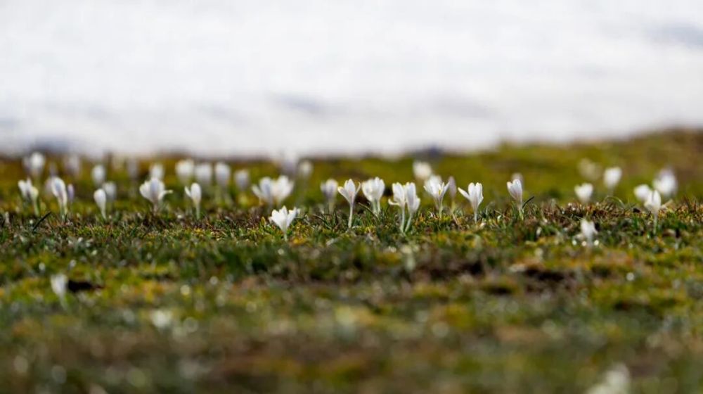 这就是新疆! 这就是新疆!