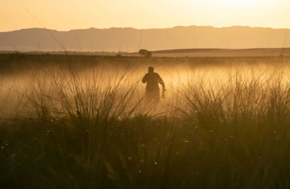 这就是新疆! 这就是新疆!