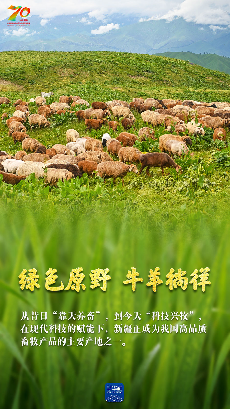 巨变70年｜天山南北“丰”景如画