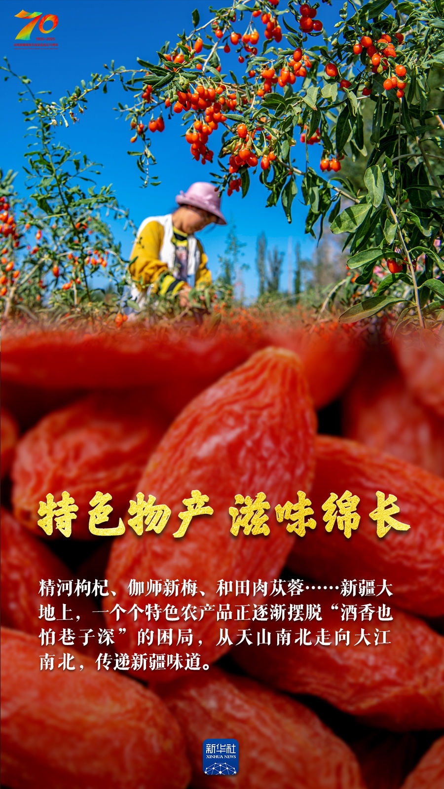 巨变70年｜天山南北“丰”景如画