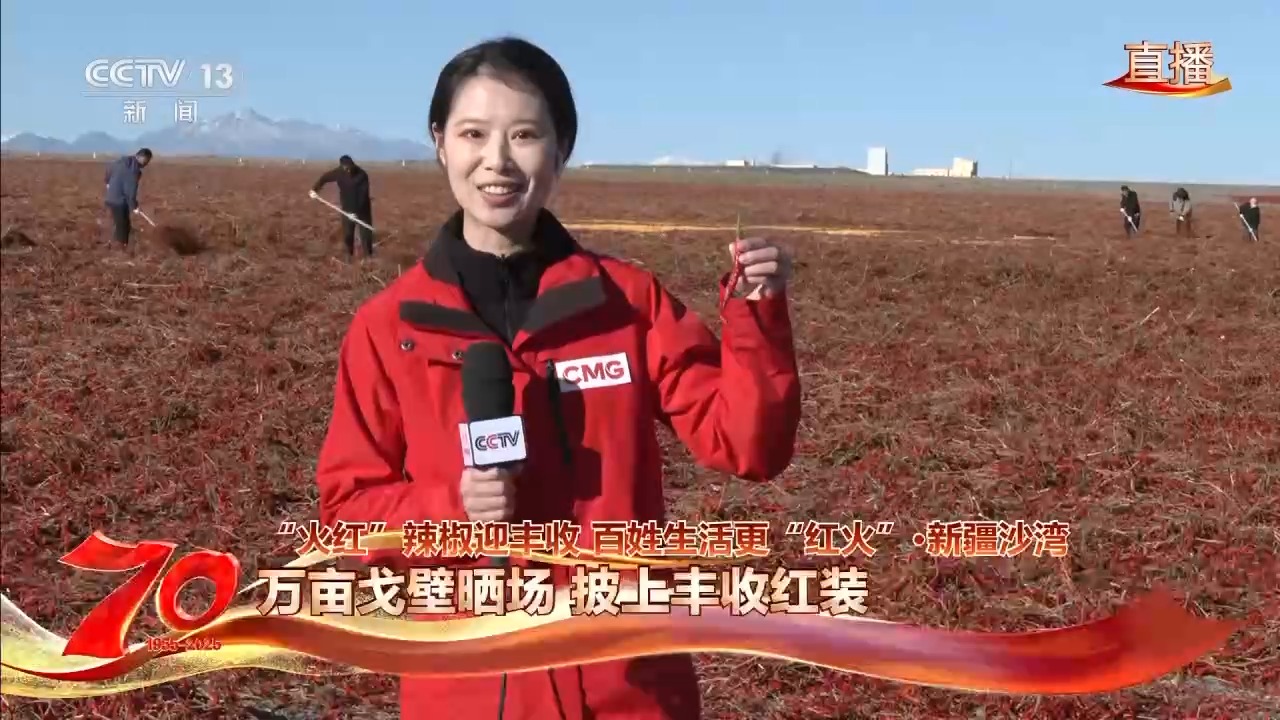 在新疆万亩戈壁晾晒场 看“火红辣椒”带来“红火日子”