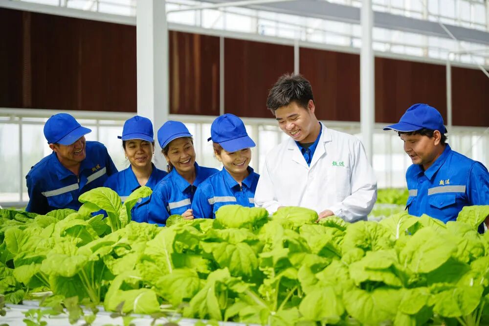 这是，我们的新疆！