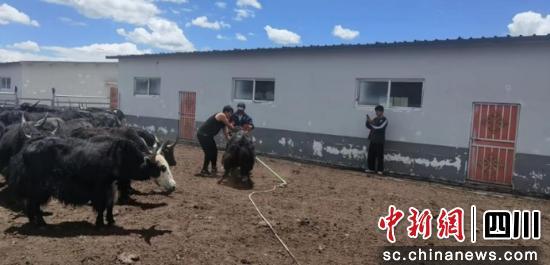 中国电信四川公司科技助力欠发达县域振兴