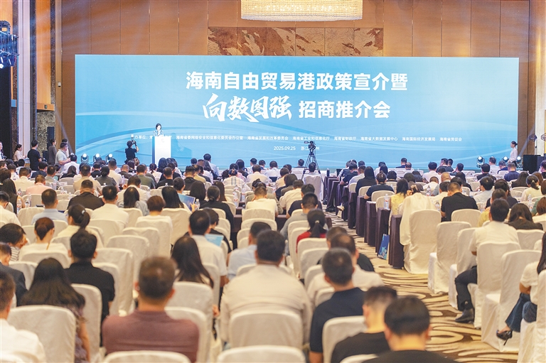 相聚杭城，海南如何“链”动新机遇？