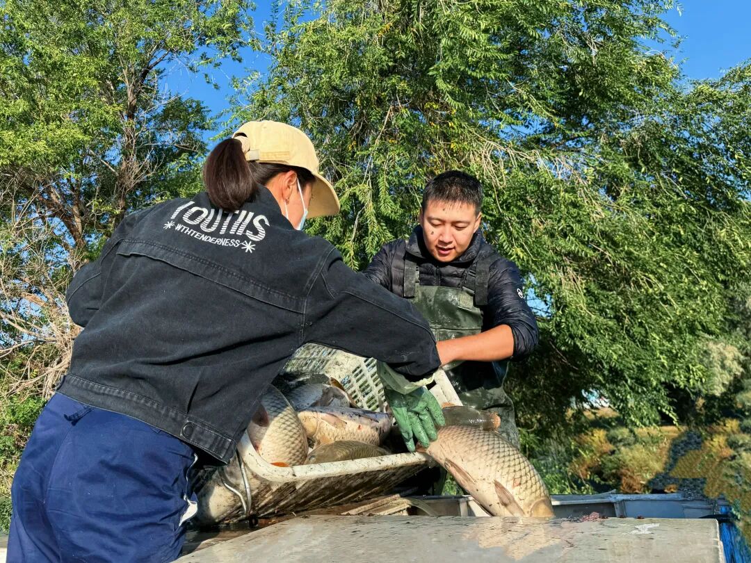 看见·丰收 | 热闹满塘！泉水鱼大丰收，乡亲笑迎“鱼满筐”