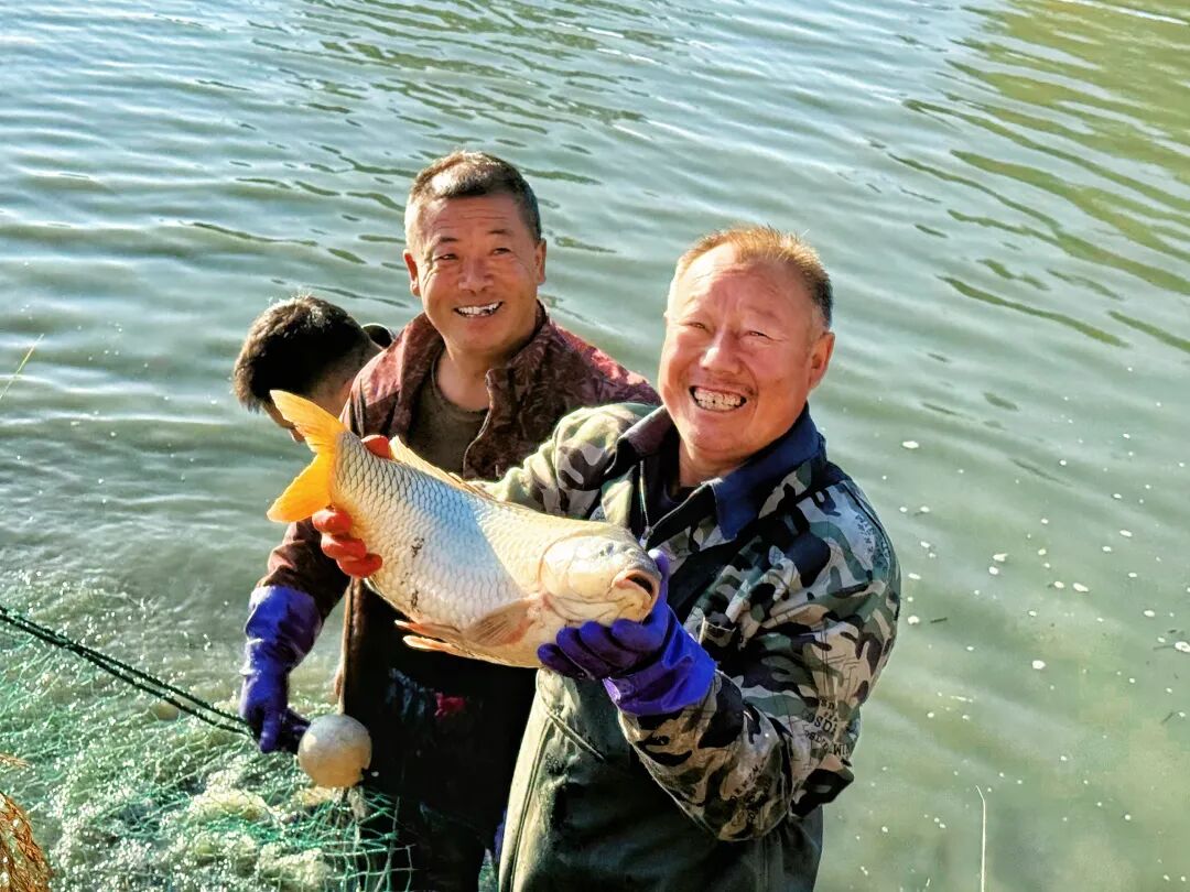 看见·丰收 | 热闹满塘！泉水鱼大丰收，乡亲笑迎“鱼满筐”