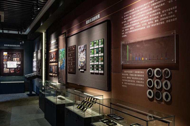 让“文明印记”焕发新活力 四川推动考古事业高质量发展-新华网