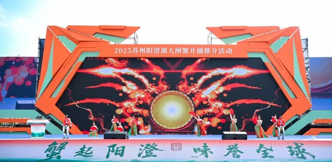 满澄尽啖黄金甲！阳澄湖大闸蟹开捕！