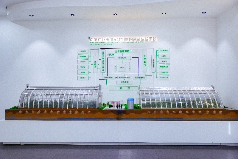 “放心消费 监管赋能”山东市场监管高质量发展媒体行走进聊城