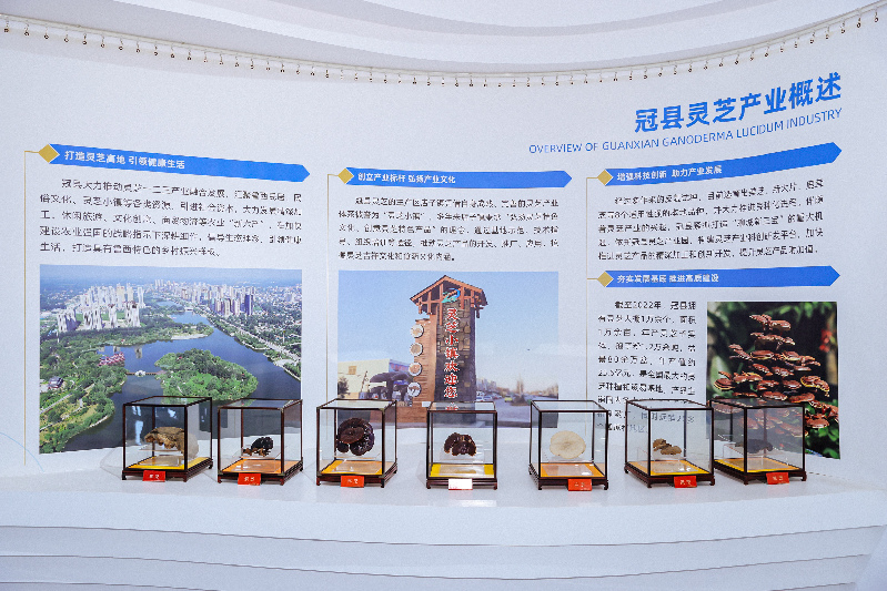 “放心消费 监管赋能”山东市场监管高质量发展媒体行走进聊城