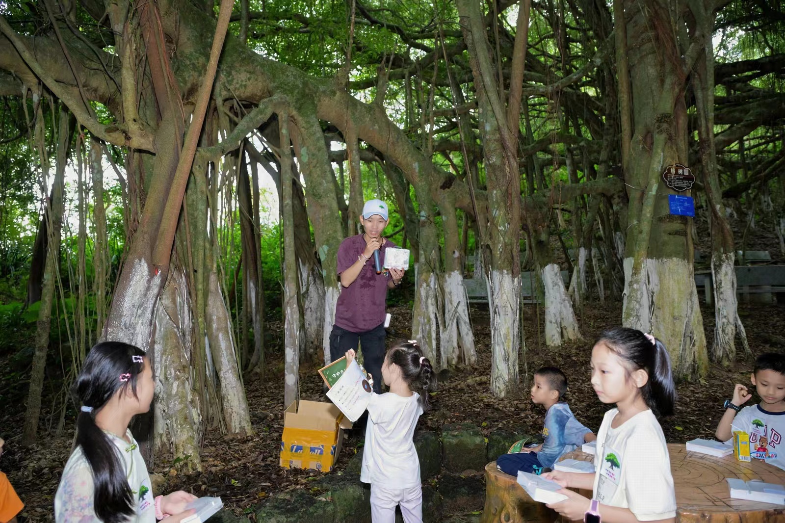 海南举办古树名木保护科普宣传周公益体验活动